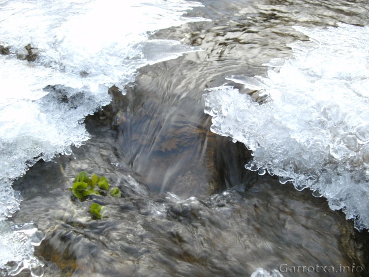 021 Ballant  al ritme de l aigua